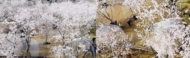 日照白鹭湾“无界剧场” / 北京观筑景观...