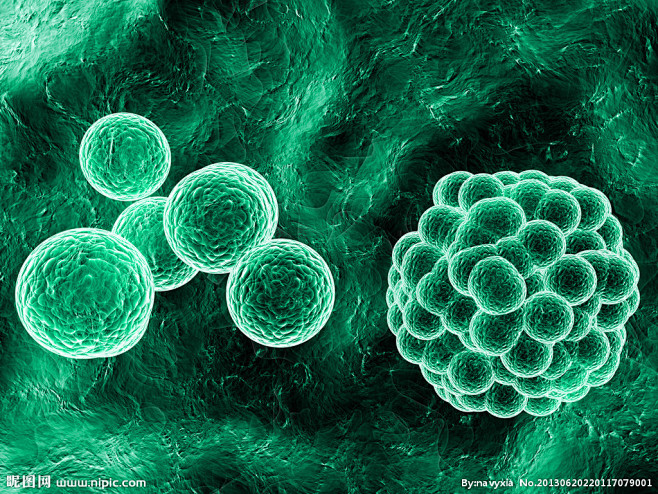 细菌 微生物设计图