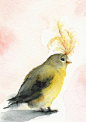 Showgirl- bird notecards