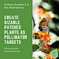 Pollinator Victory Garden 2.0