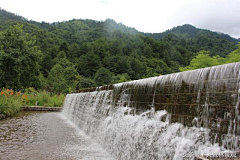 大森林景观采集到森林公园