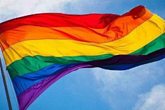 G大猫采集到LGBT
