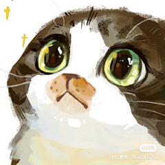 黑猫弹吉他采集到父亲节