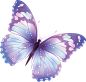 c24e49f92a653ca7e5e245927537532b6d1592ac216f6e-mZmFPw_fw1200