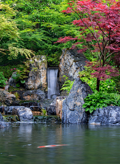 小小虾123采集到水景