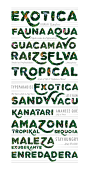 Exótica - Paper Craft DisplayTypeface : ESP  Exótica es una tipografía display llegada directamente desde la selva amazónica, el bosque tropical más extenso del mundo, que se desarrolla alrededor del río Amazonas y de su cuenca fluvial. Allí las altas tem