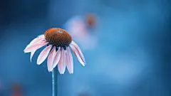 #电脑壁纸 #PC背景 #插画设计 #景色美图 #摄影风景 #美景图库 #4K超高清