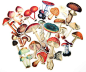 26pc Mushroom Stickers lot Die-cuts for junk bullet journal | Etsy