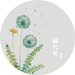 元芳采集到手绘草本