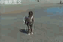 福克斯盗匪采集到GIF