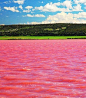 位于澳大利亚的Lake Hillier，来自幻想世界的粉色玫瑰湖，美哭~