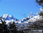 玉龙雪山 雪山腹地云杉坪  玉龙映翠景色美