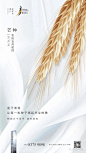 41  花样年·喜年中心