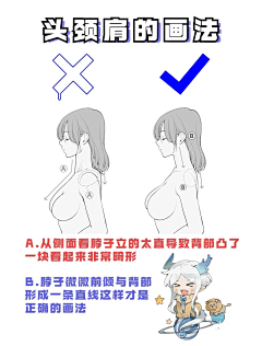 夏日樱奈采集到女性躯干