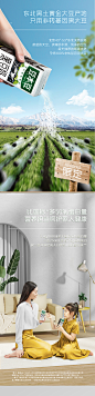 豆本豆黑豆谷物豆奶250ml*15盒整箱礼盒植物蛋白饮品非转基因大豆-tmall.com天猫