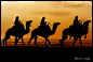 全部尺寸 | Camels Caravan ! | Flickr - 相片分享！