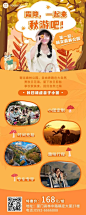 旅游出行节气营销实景长图海报
