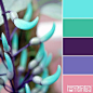 color palettes: 