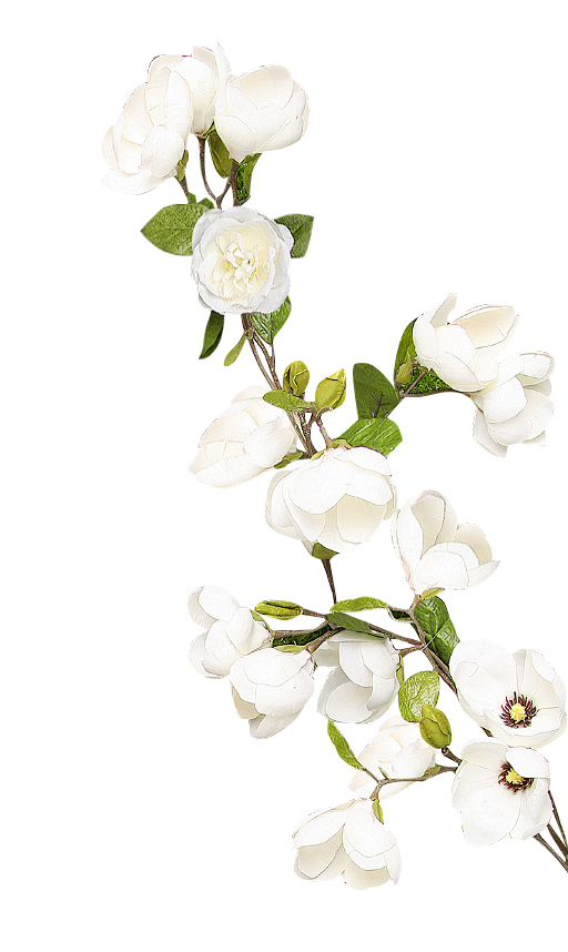 免扣+栀子花