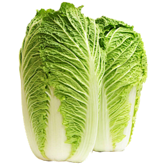 到钅イォァ稽ァ底采集到白菜