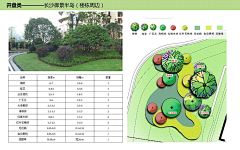 SSSSSSSSSSONG采集到植物平面图