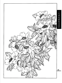 工笔画线描花卉画谱(茶花篇)
