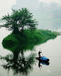 天纵士采集到风景