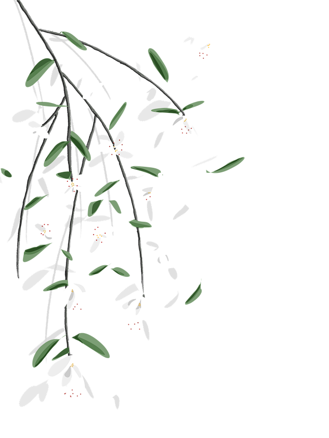 @忧命 古风素材 关注可商