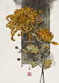 二十四节气-02中国风插画水彩国潮壁纸@奥美Linda