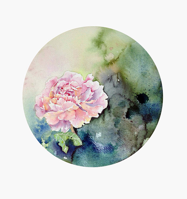 羽_Rachel  的插画 牡丹