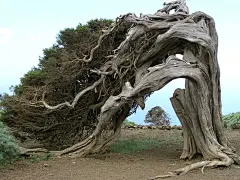 我的收藏 - 微博