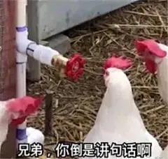 我们整理了全网又野又沙雕的表情包，保证让你一秒笑掉头 : 兄弟，来耍吗？