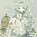 雨曦梦蝶