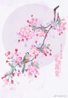 安莫安安采集到喜欢的绘画花