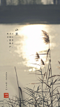 @中国摄影师联盟 的个人主页 - 微博