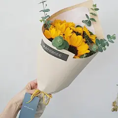 捧花#植物##壁纸##小清新##花朵#