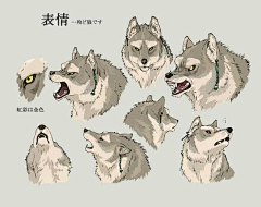 大饼饼采集到creatures