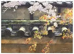水彩---樱花-梨花-桃花-海棠花、梅花 - 高清图片，堆糖，美图壁纸兴趣社区