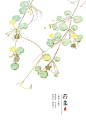 [ 诗经植物 ]_涂鸦王国 原创绘画平台 www.poocg.com
