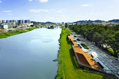 麦子-芒-穗采集到驳岸、滨水