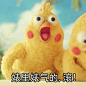 他还小，直接打死吧！！欢迎关注@鹦鹉兄弟表情包 ​​​​