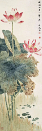 #国画花卉# 画家田世光（1916～1999）作品欣赏 ​​​​