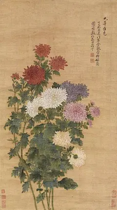 书画界的照片 - 微相册一代才华绝世的宗师，一生曲折离奇，饱受困苦而终

    他一生坎坷，饱经困苦，崇尚气节，誓不应科举。他以高逸的山水画和寓意的没骨花卉写生画问世后，追随者众多，成为清初著名的花鸟画家。近现代知名画家任伯年、吴昌硕、刘海粟等都临摹学习过他的画。

    但一代才华绝世的宗师，去世时连棺材也置不起一口，默默地终结其坎坷、劳碌、贫寒的一生。