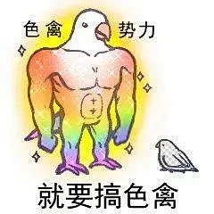 色禽 表情包_百度图片搜索
