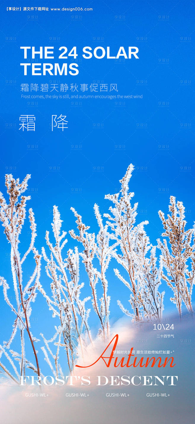 编号：20231008114542272...