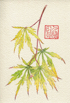 三毛橘子采集到治愈系  花花