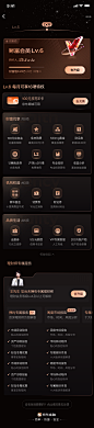 会员 等级 Lv6展开