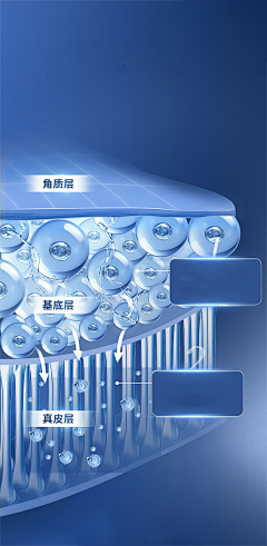 贾斯汀比伯-采集到细胞分子