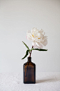 Even the simplest of arrangements are strikingly beautiful.: 