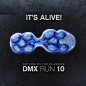 作为首款搭载 DMX 10 气囊科技的 Reebok 跑鞋，DMX Run 10 通过分散在中底各处的十个连通气囊来达到气压缓震的效果。今年是 Reebok DMX Run 10 诞生的 20 周年，Reebok 将重新带回Reebok DMX Run 10 这款顶级DMX缓震跑鞋，穿腻了气垫、Boost，来尝试下别样的缓震体验吧！Reebok DMX Run 10 将于6 月 22 ​​​​...展开全文c